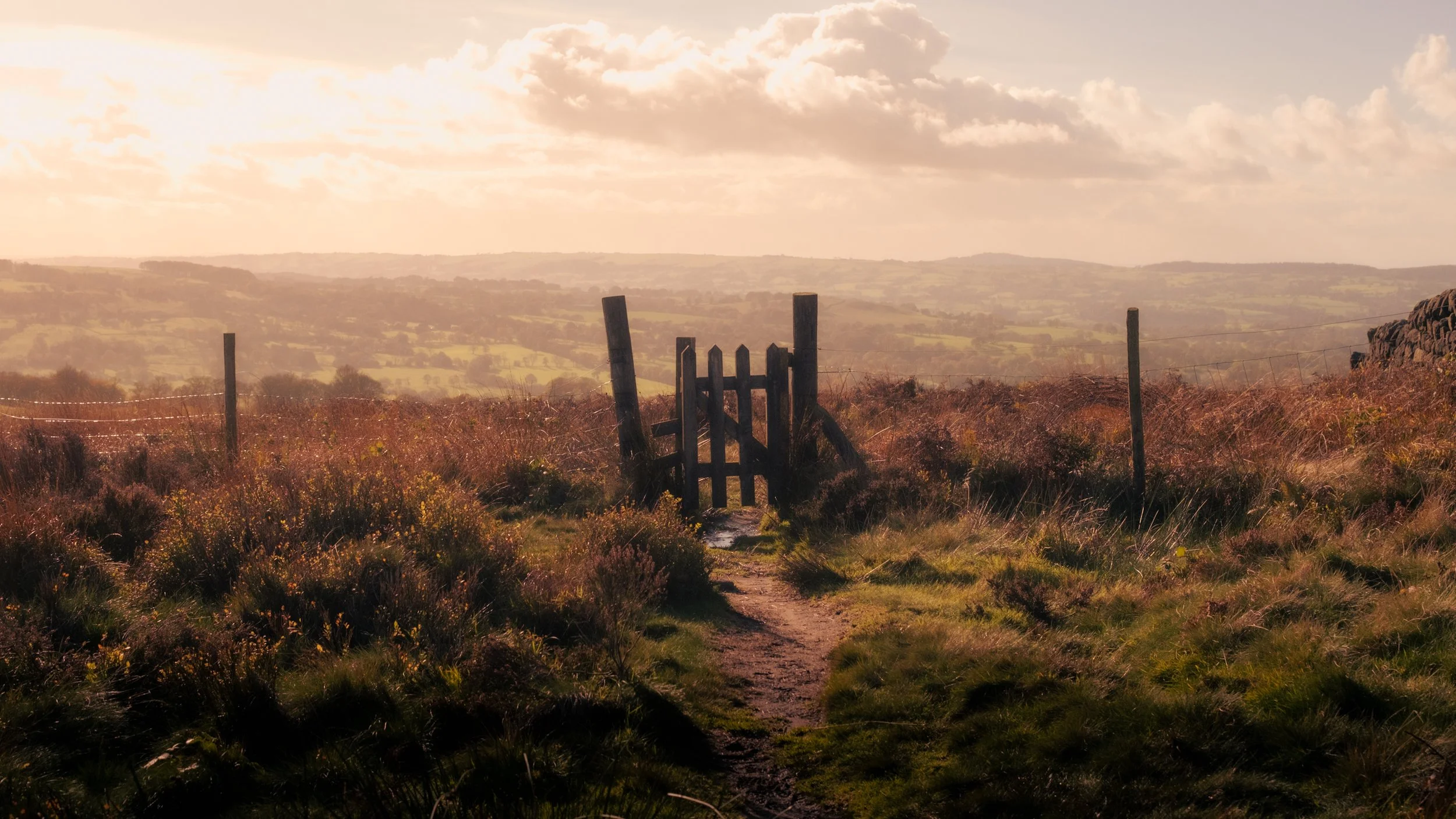 A dirt path leading through a field of tall grasses and wildflowers, with a wooden gate in the distance and rolling hills under a cloudy sky, illuminated by warm sunlight.