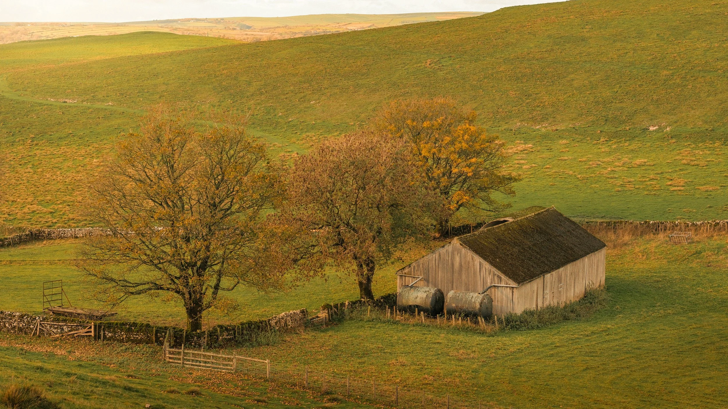 A rural landscape with green rolling hills, trees with autumn foliage, a wooden barn, and fencing.