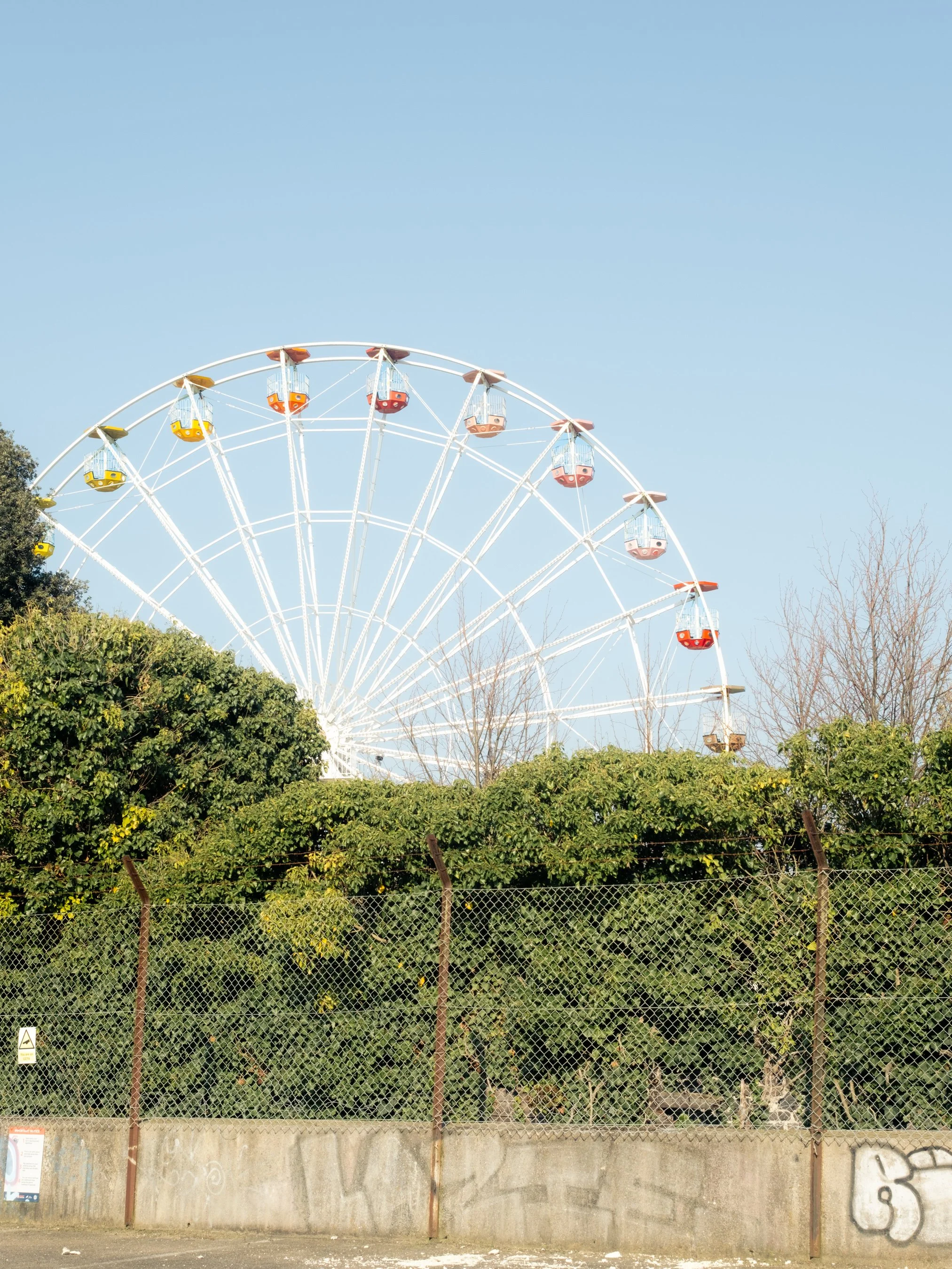 A Ferris wheel with colorful cabins in the background behind a green shrub and a chain-link fence.