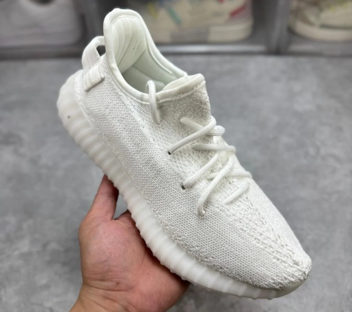 6202088494.jpg