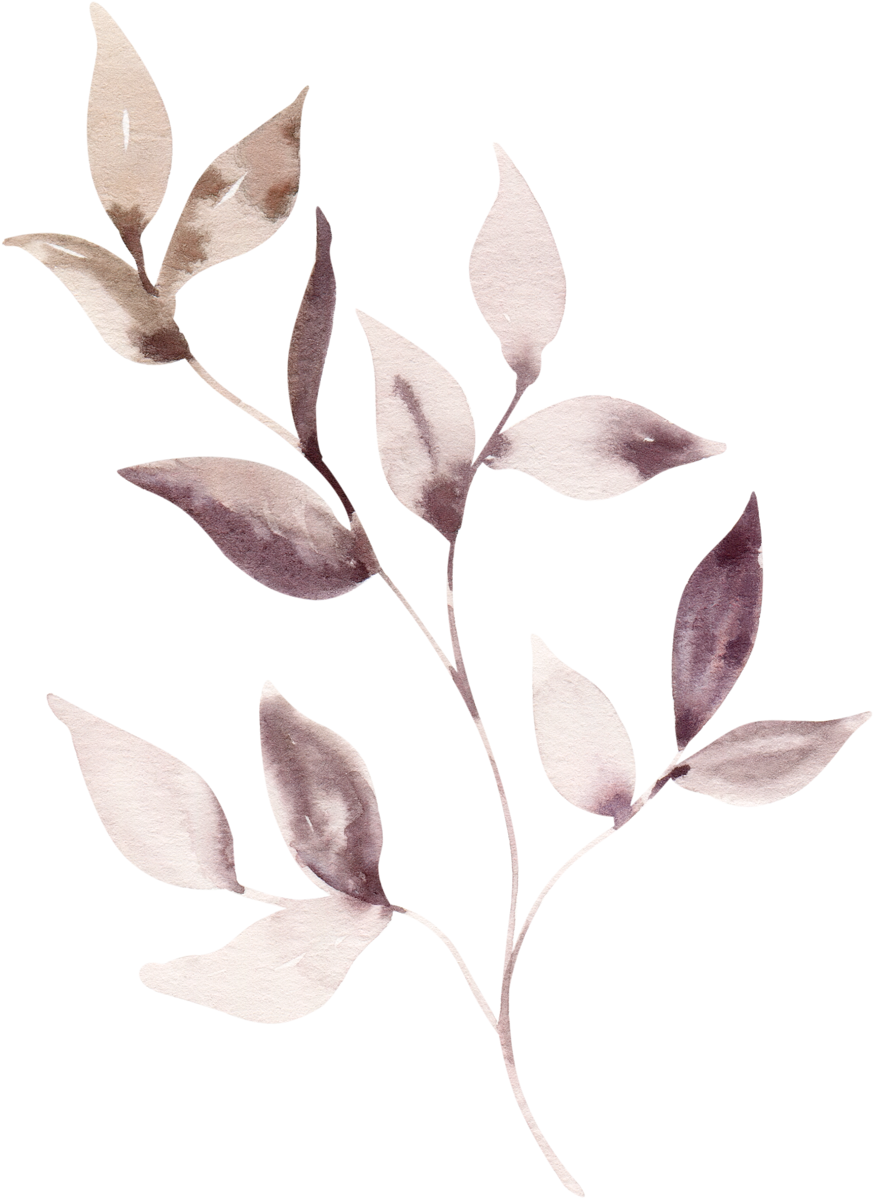 Abstrakte botanische Illustration mit stilisierten, rosafarbenen Blättern auf schwarzem Hintergrund