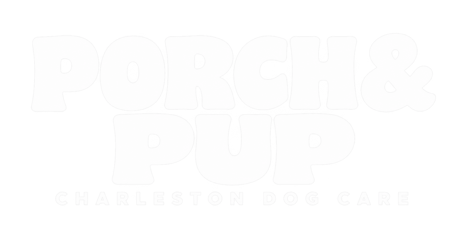 Porch &amp; Pup Charleston Dog Walker