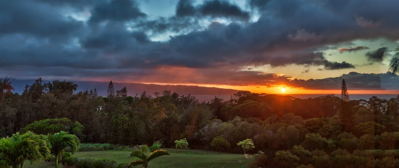 Sunset over a lush, green forested landscape with dark clouds in the sky.