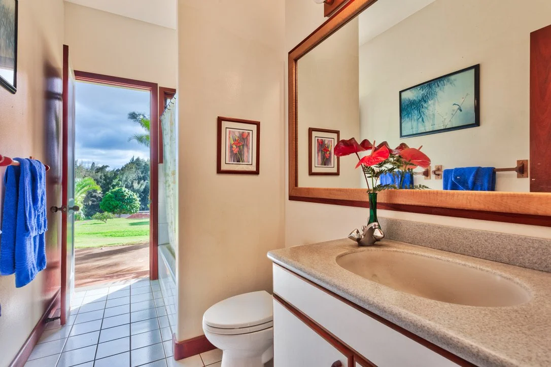 Bathroom with a sink, mirror, and artwork on the wall, with a door leading outside to a green landscape.