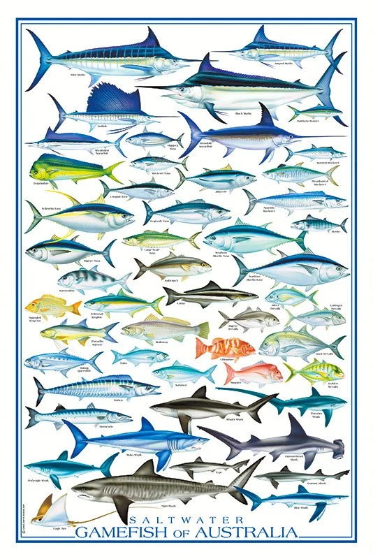 Saltwater Gamefish of Australia