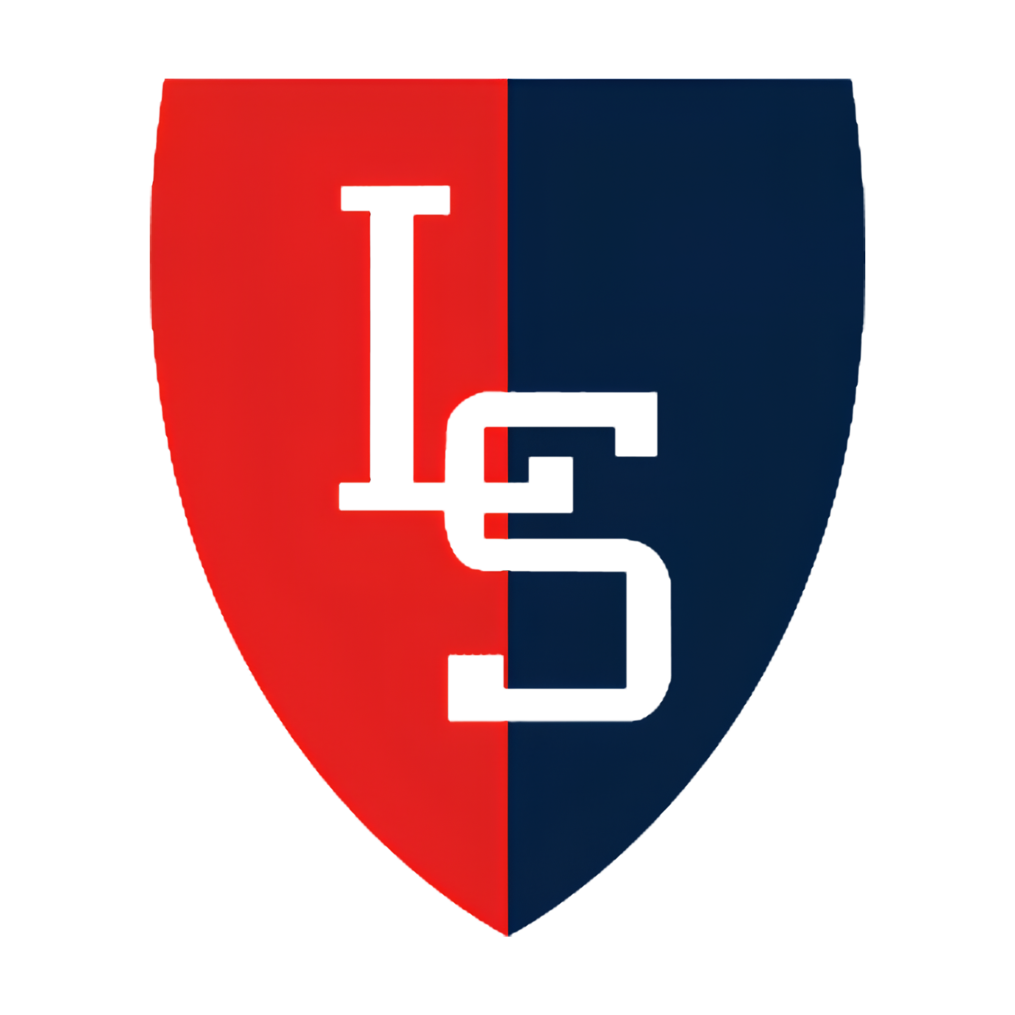 A red and blue 3D chess piece with the word "LEVEL" written vertically on its face.