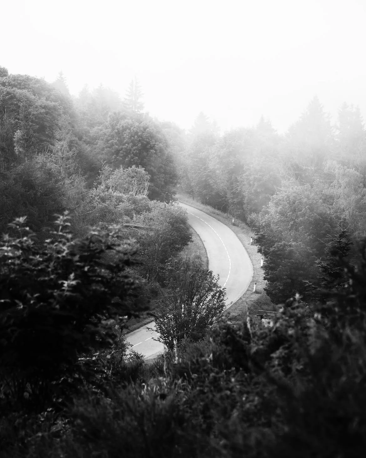 The road to the Struthof concentration camp. #struthof #concentrationcamp #blackandwhitephotogra.jpg