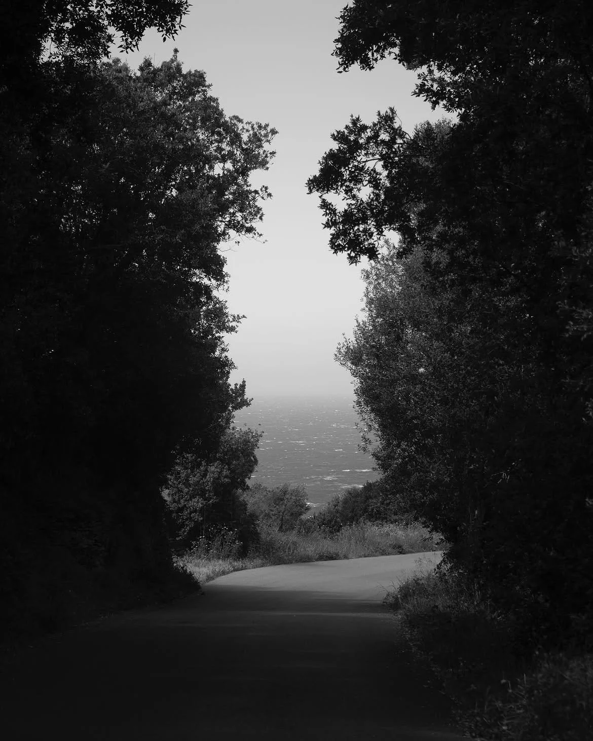 #corsica #corse #blackandwhite #blackandwhitephotography.jpg