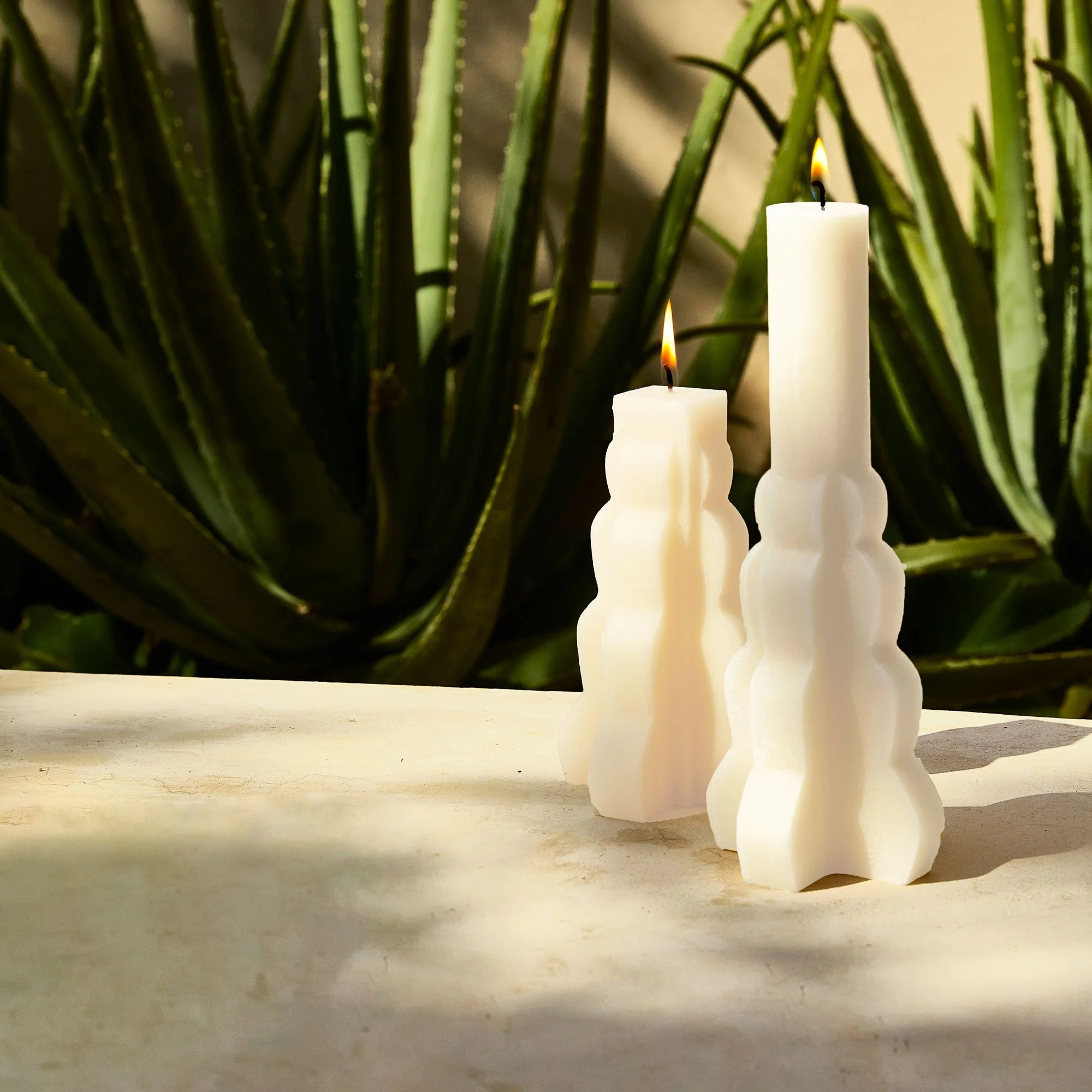 Four white candles, two tall and two shorter, with flames burning, placed on a surface with a green leafy plant in the background.