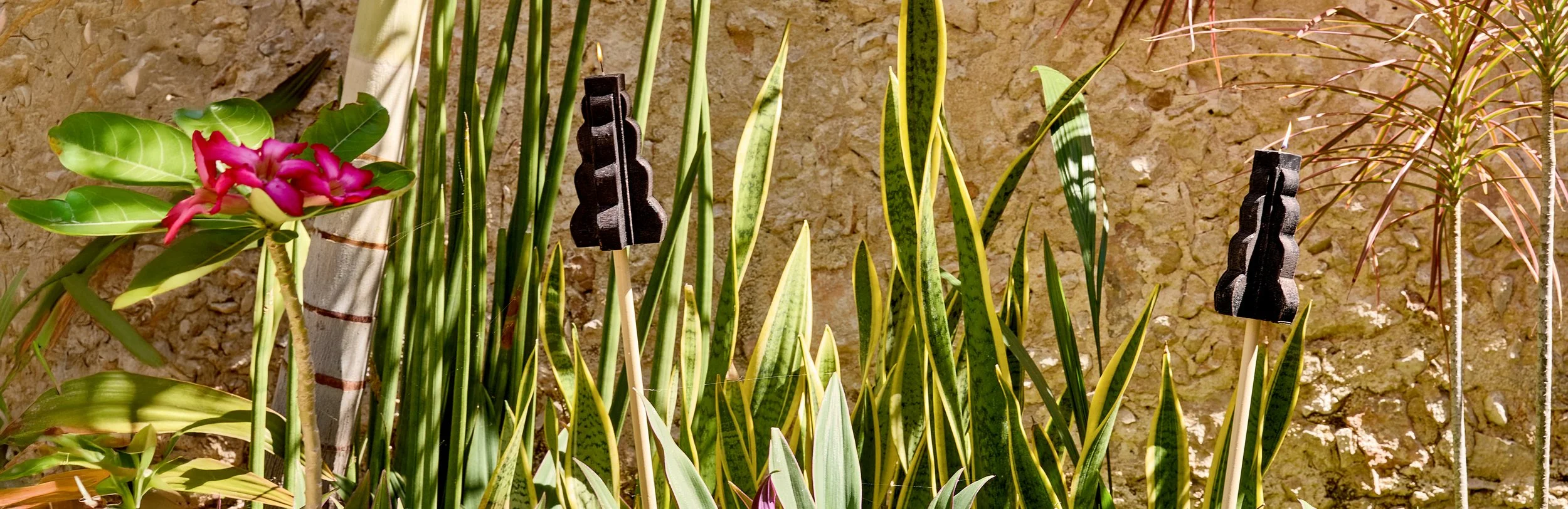 Garden scene with green plants, pink flower, and black tiki torch candles against a textured beige wall.