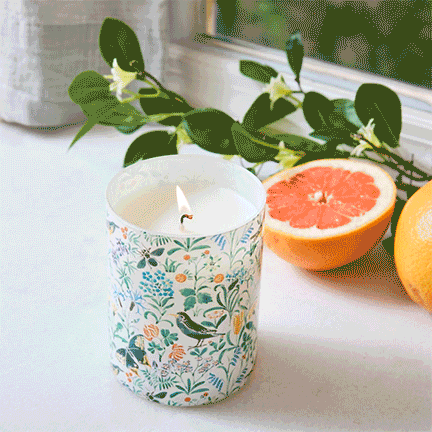 A lit candle in a decorated holder, with a grapefruit half and a lemon on a white surface, and some greenery in the background.
