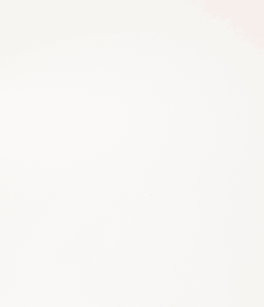 Empty white background with subtle texture.