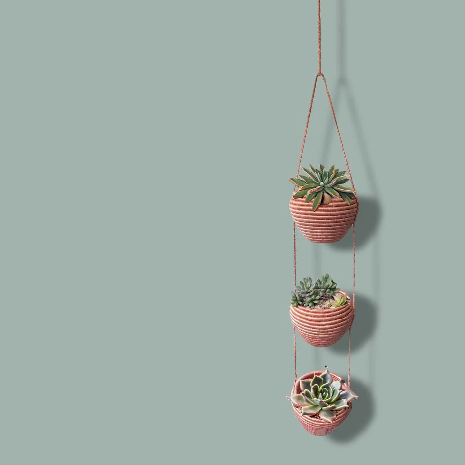 A vertically hanging three-tiered succulent plant arrangement in pink striped bowls on pink strings, against a solid light green background.
