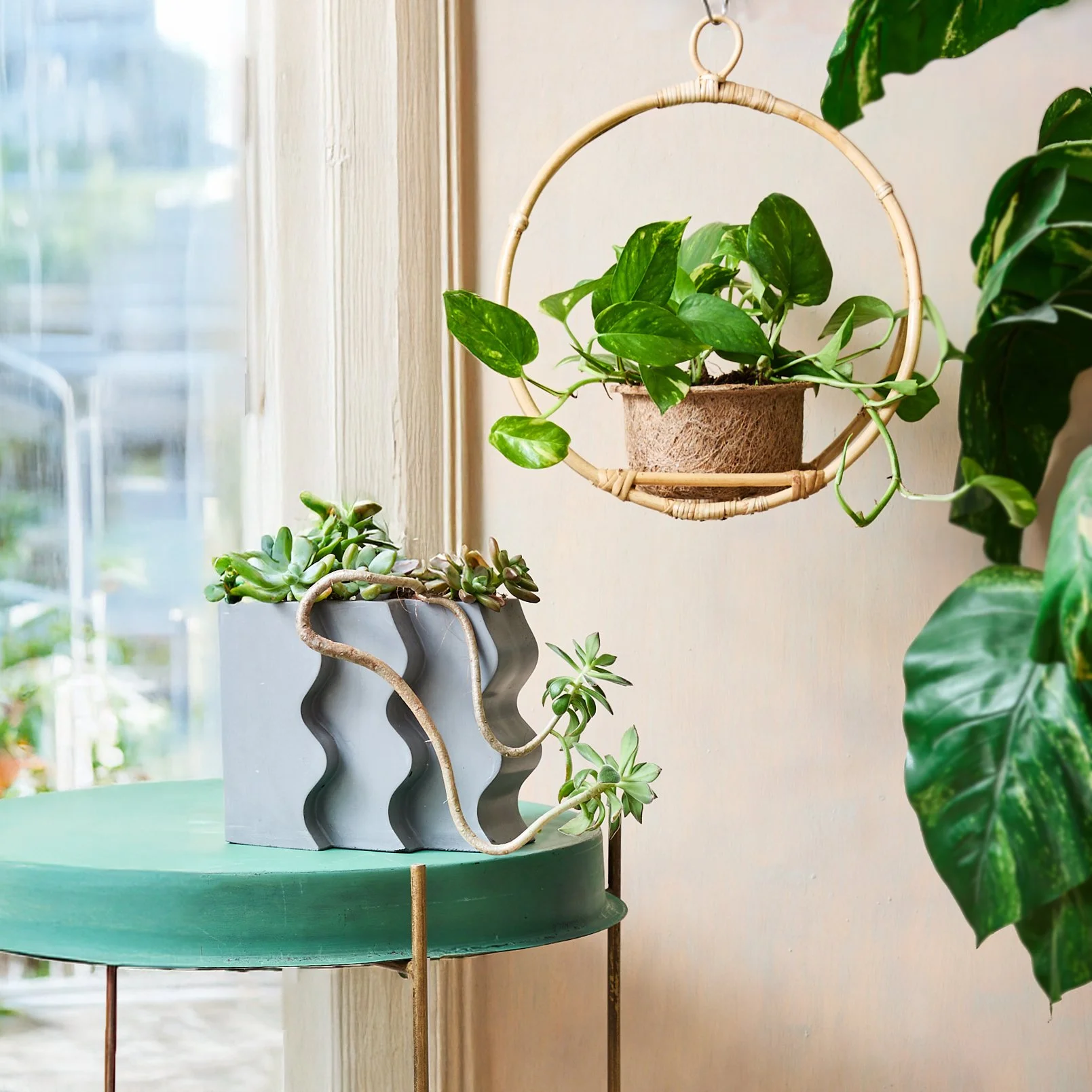 A wooden wall with hanging plants, including a potted pothos in a circular wicker holder and other greenery, next to a window with a view outside.