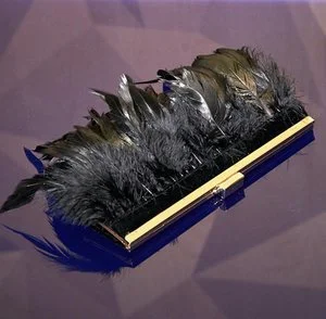 A rectangular box filled with various black and dark-colored feathers.