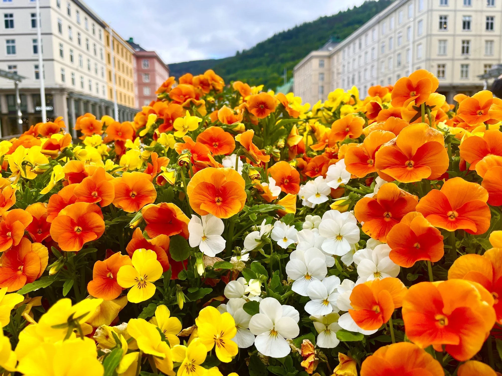 Bergen, Norway