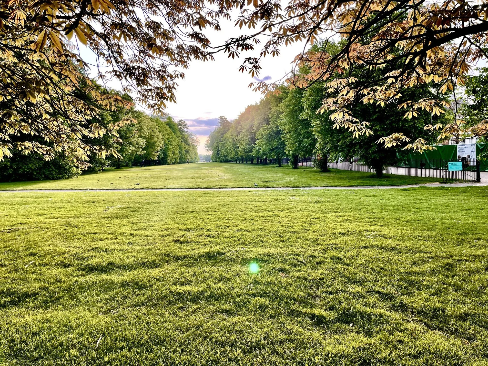 Hyde Park, London