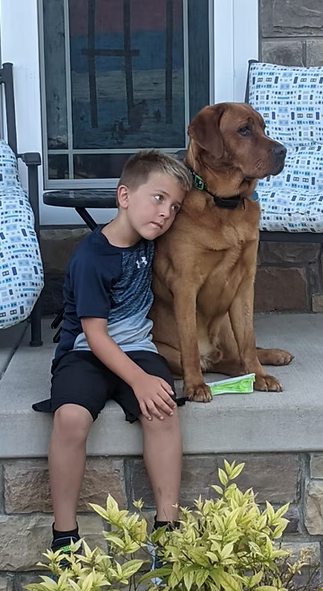 In Home Dog Day Training Program Chesterton