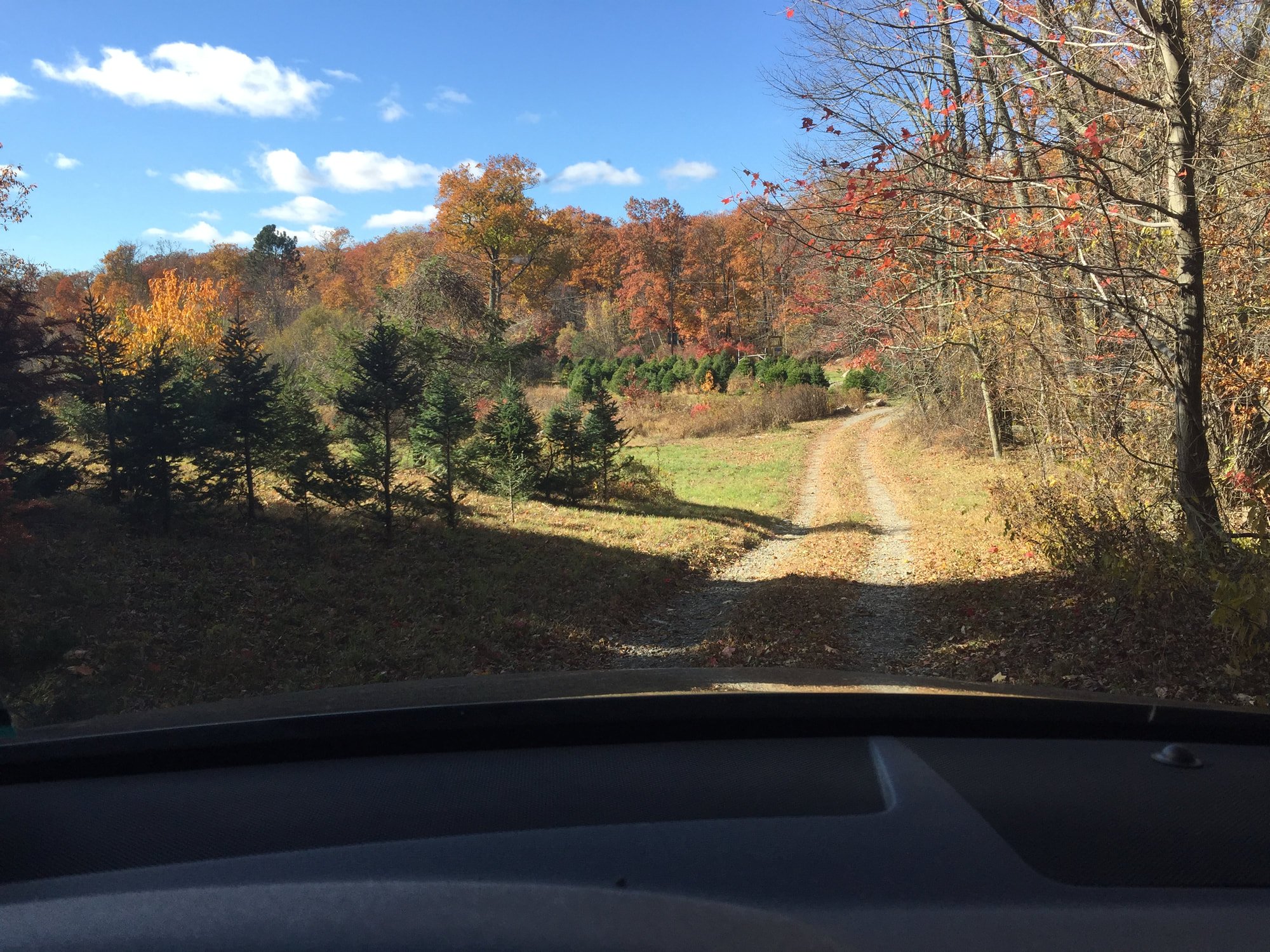 A dirt road through a wooded area with fall foliage, trees with orange and red leaves, blue sky with scattered clouds.