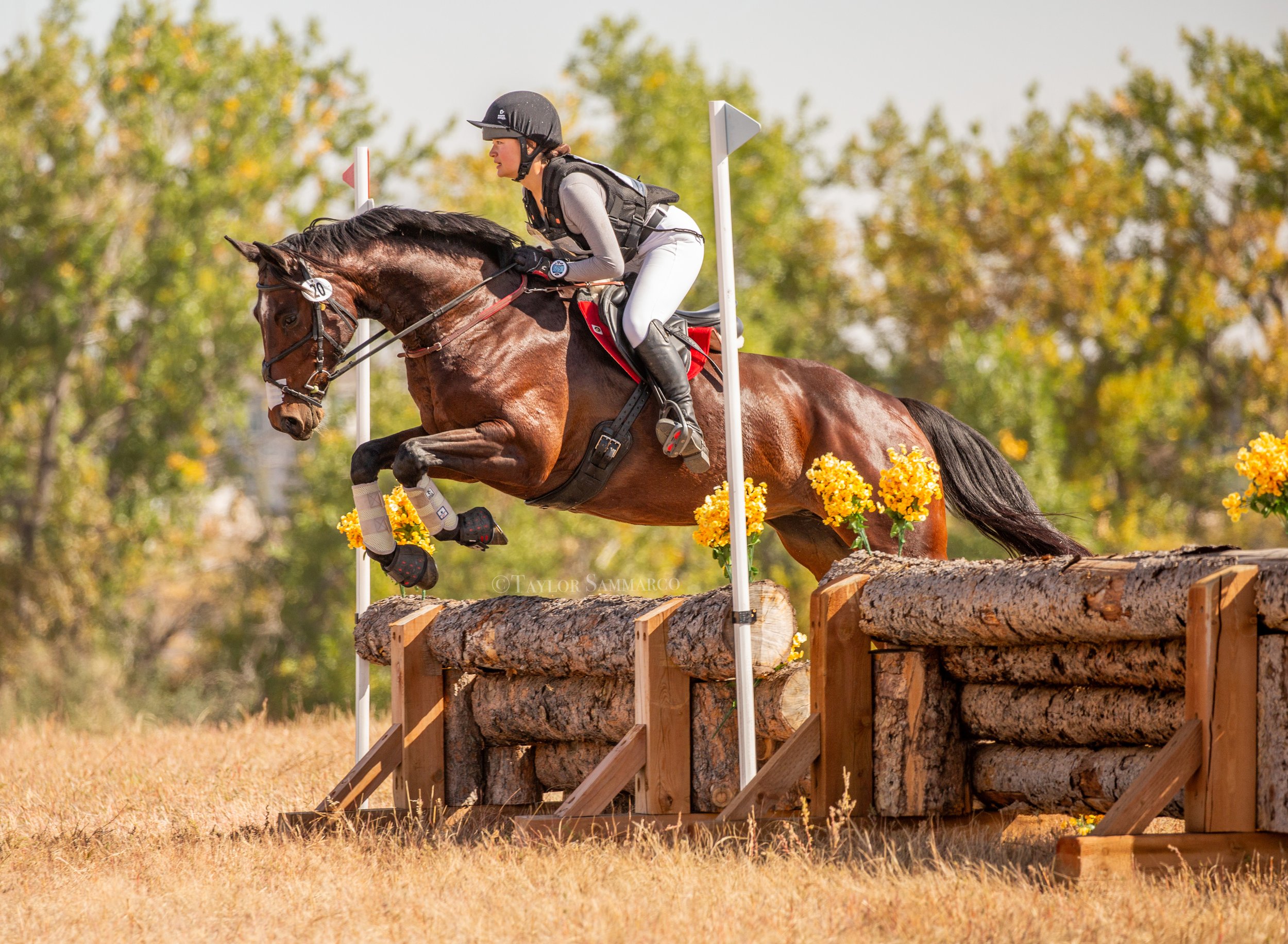 A female equestrian riding a horse as they jump over a log obstacle during a cross-country riding event in an outdoor setting with trees in the background.