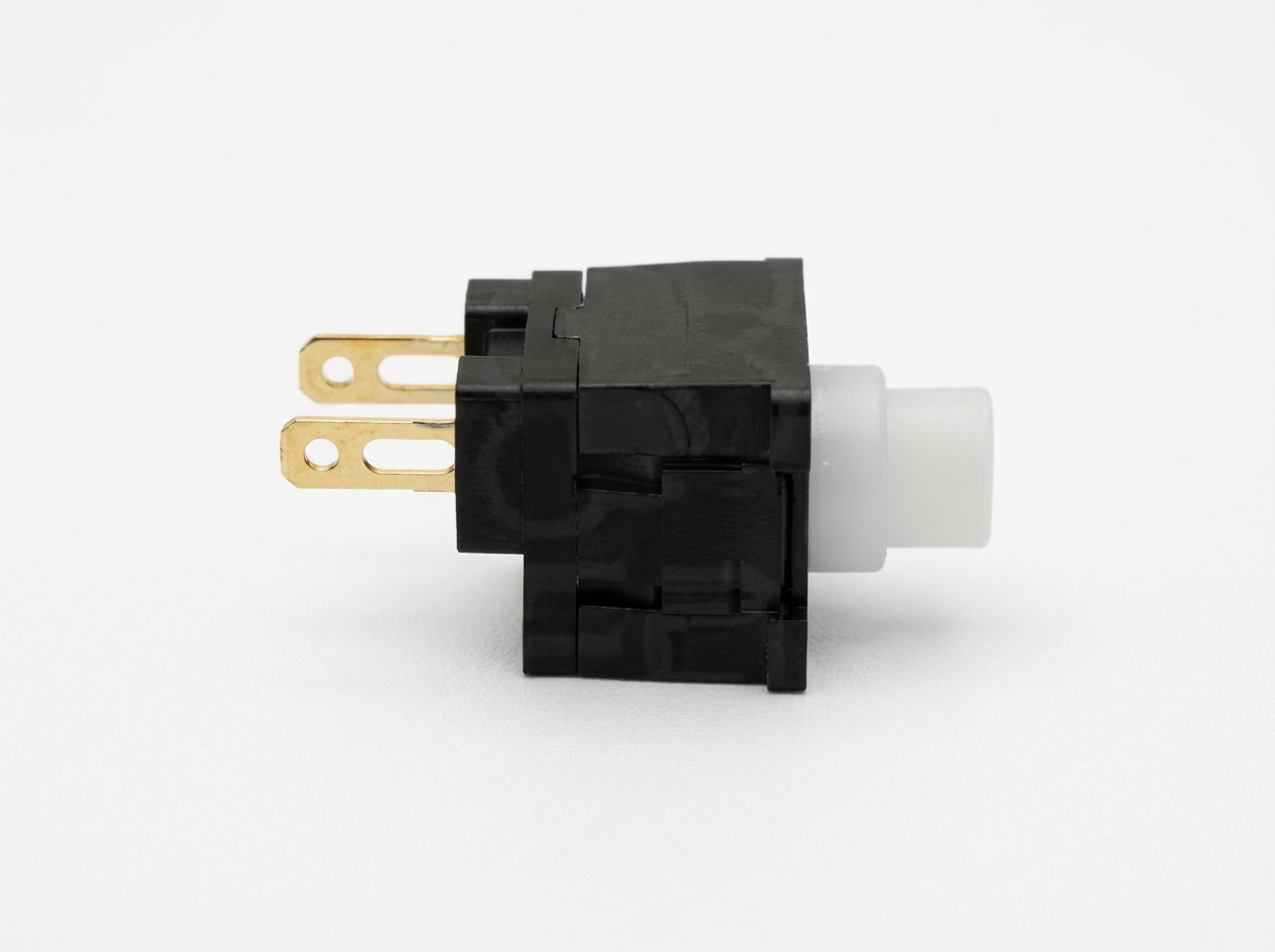 imgg-r80-o0tgzvms.png