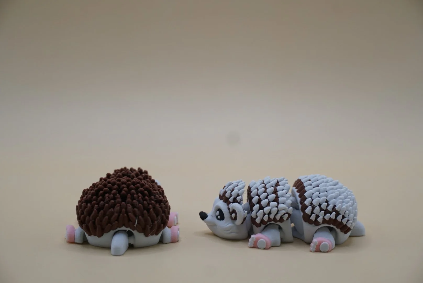Hedgehog 3.JPG