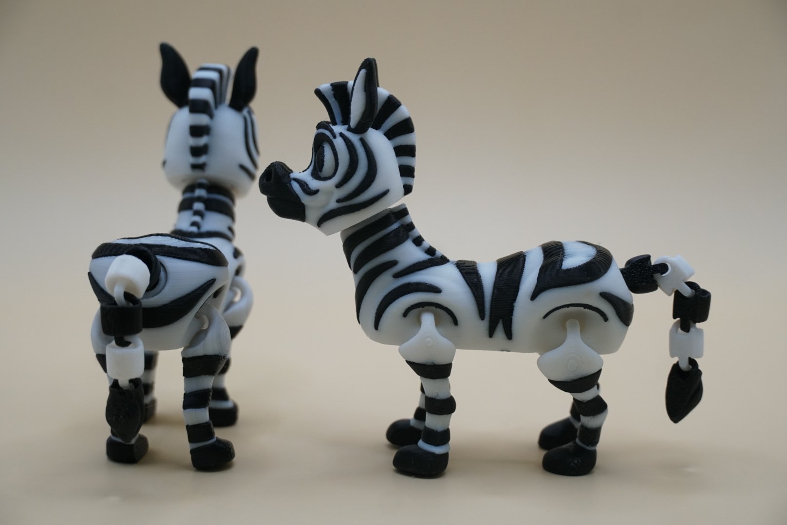 Zebra 2.JPG