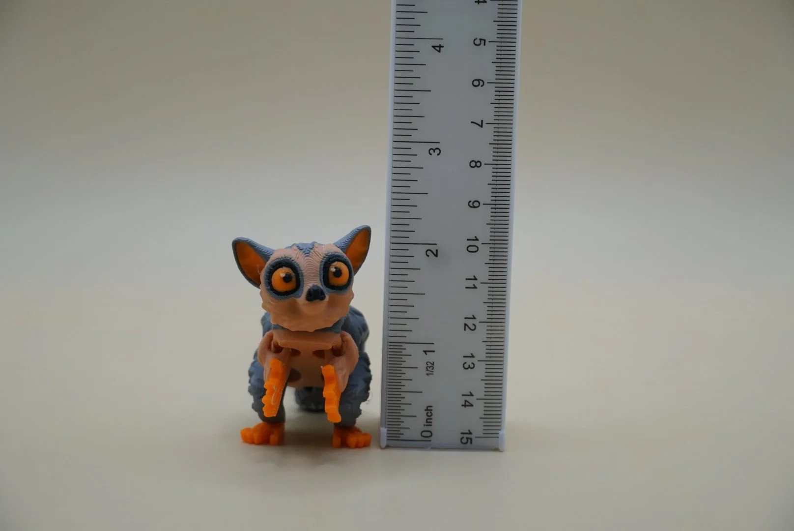 Bush Baby 3.JPG