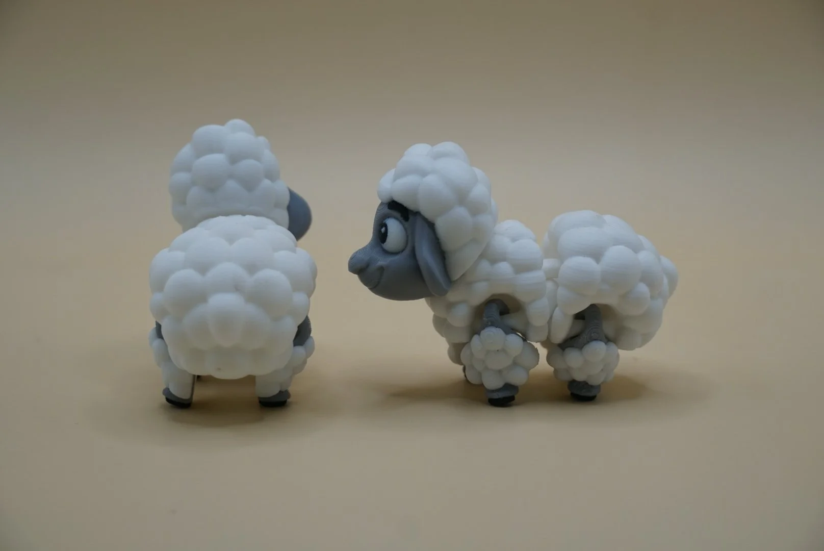 Sheep 2.JPG