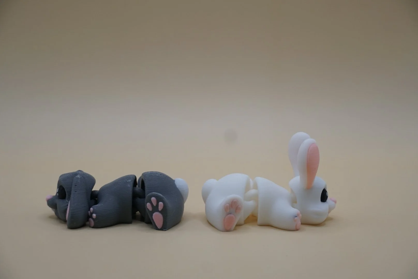 Bunny 2.JPG