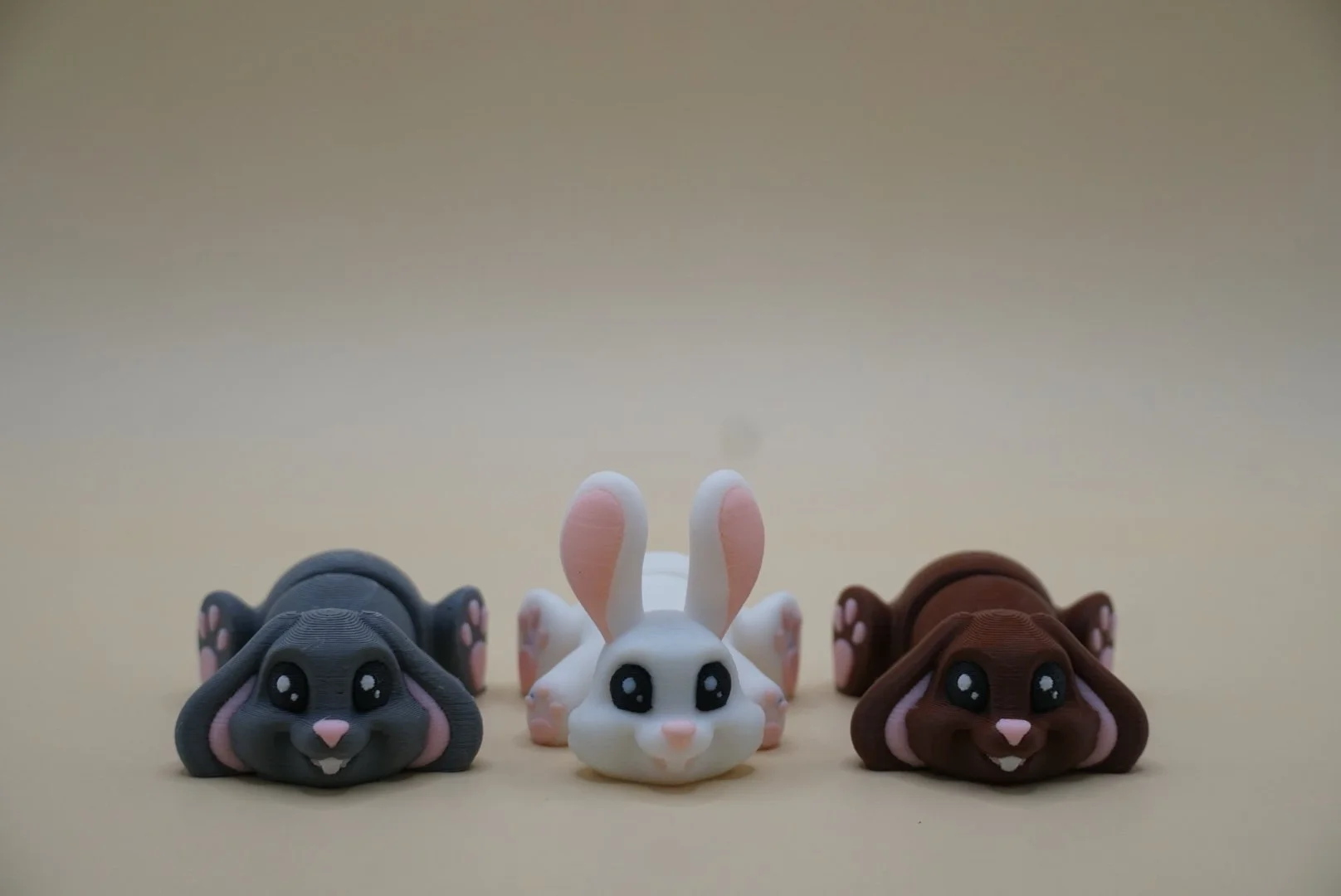Bunny 1.JPG