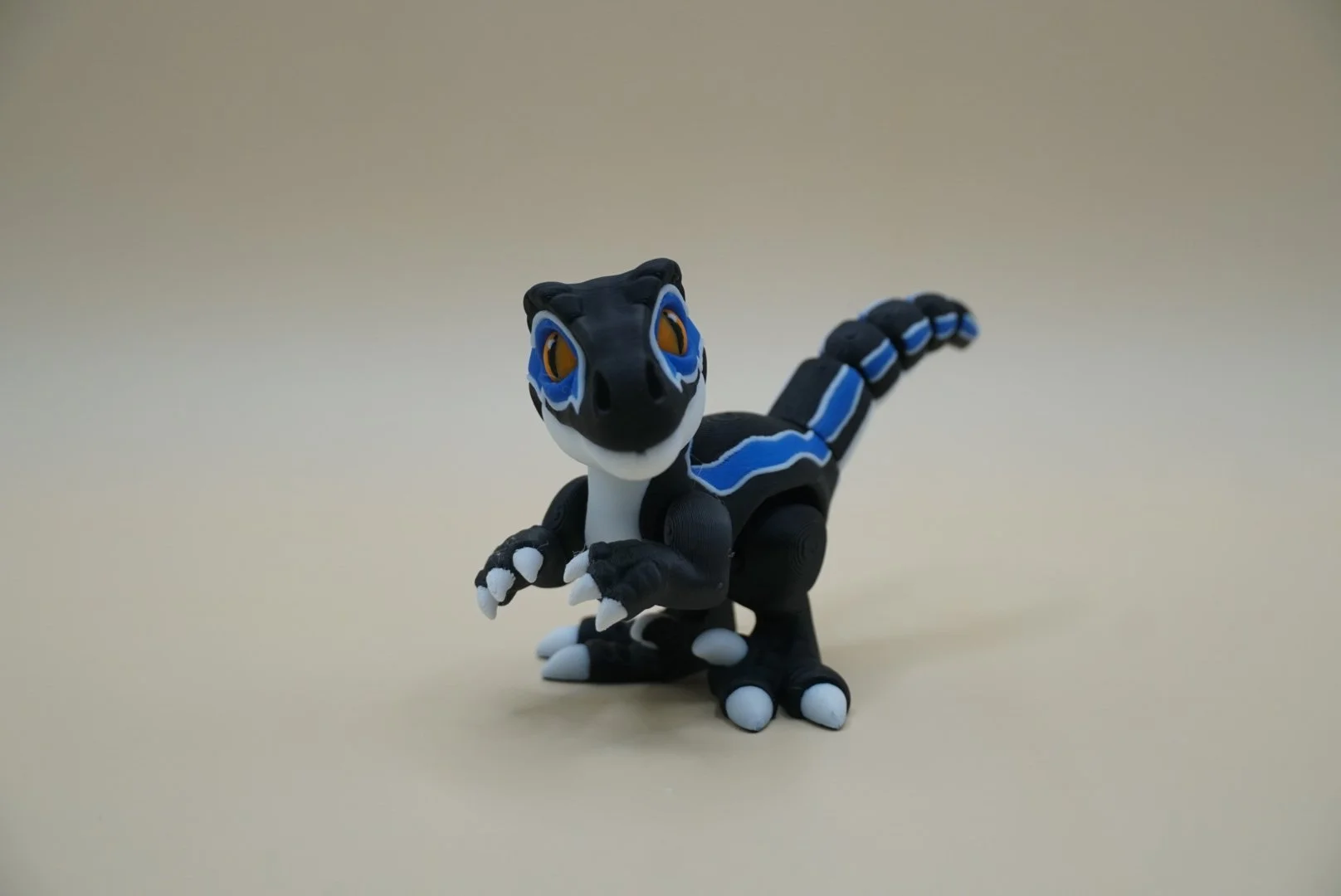 Raptor 1.JPG