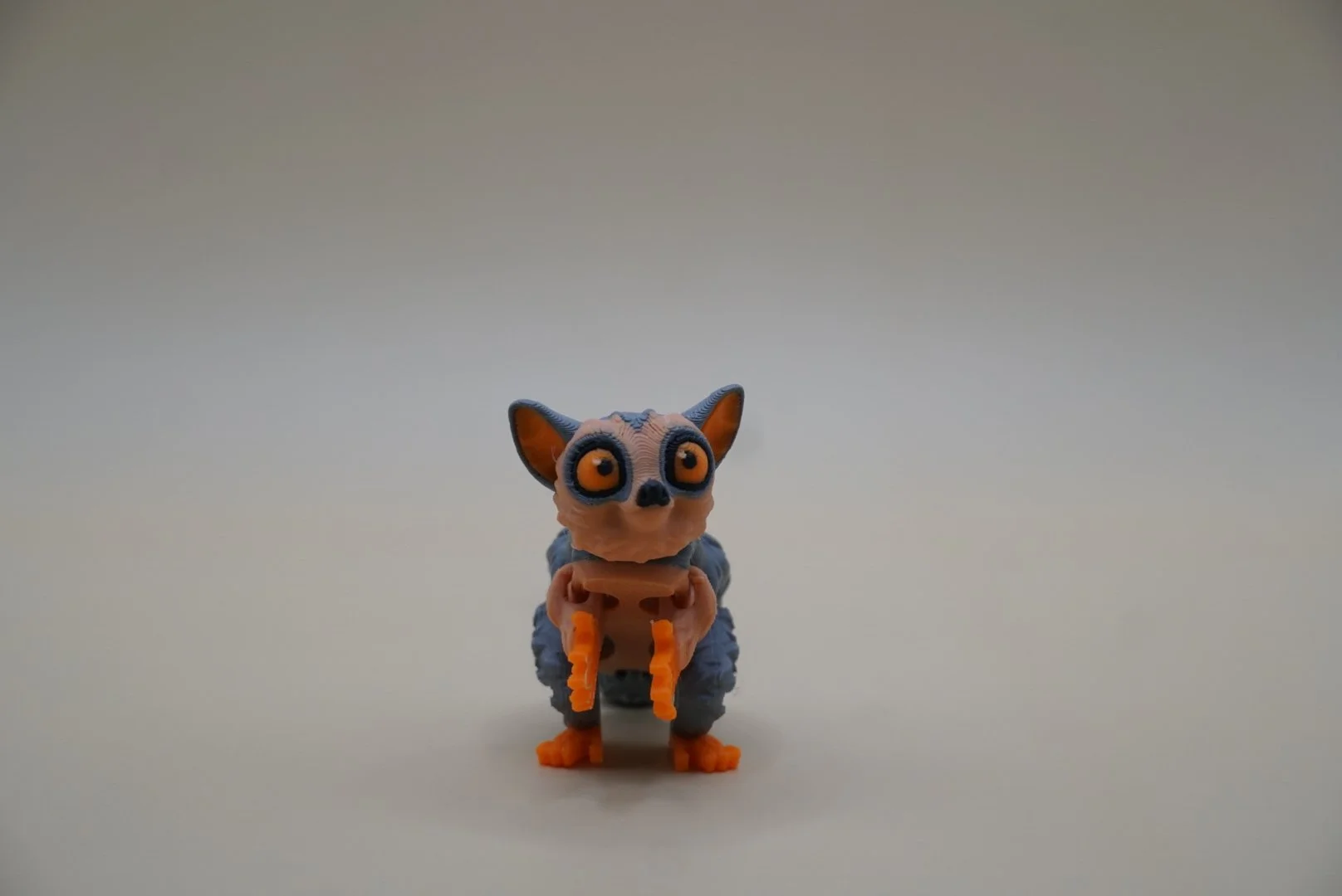Bush Baby 1.JPG