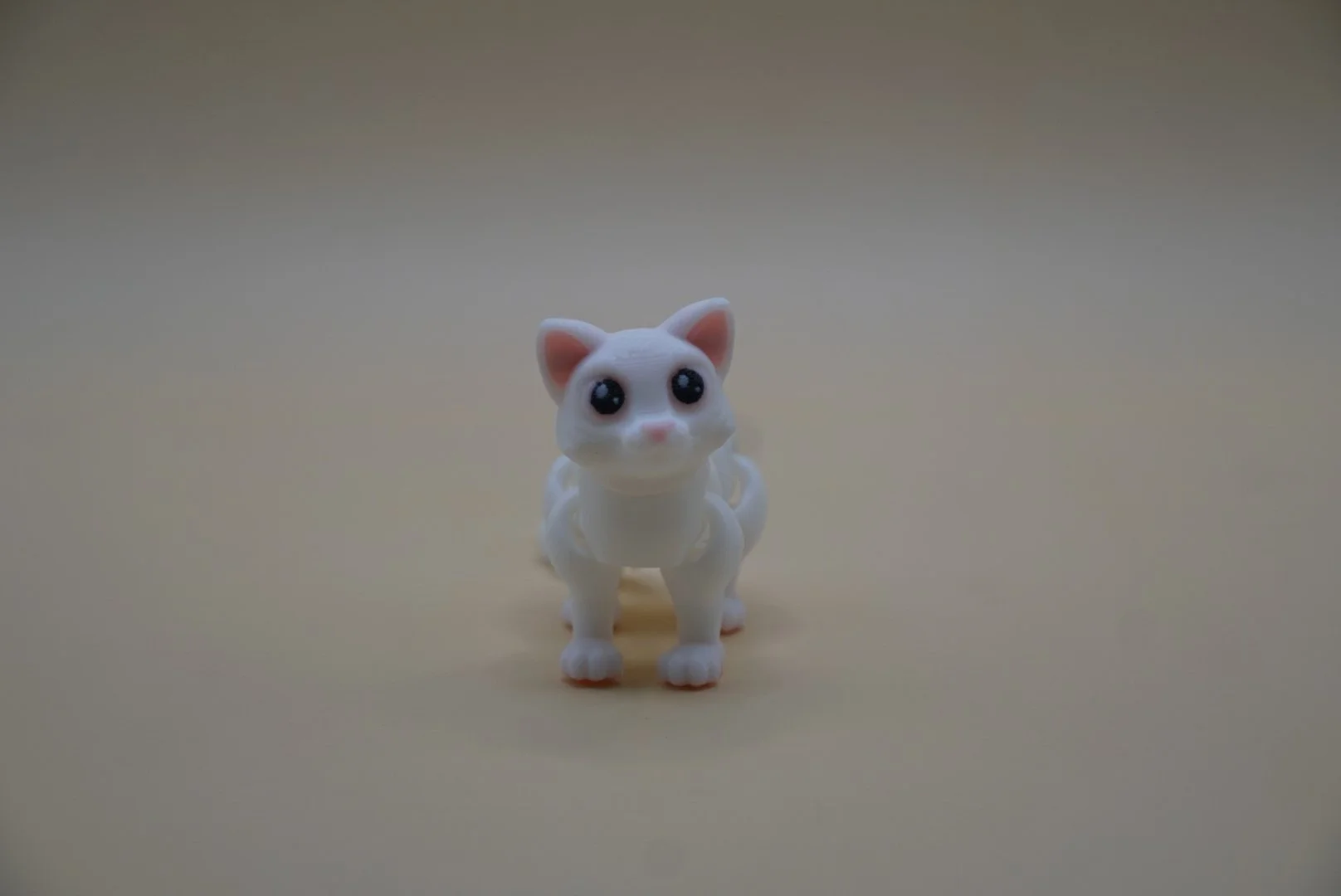 Cat 1.JPG