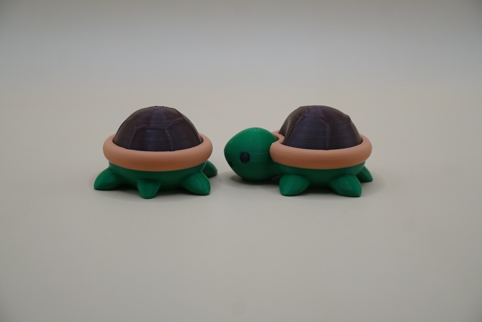 Turtle 2.JPG