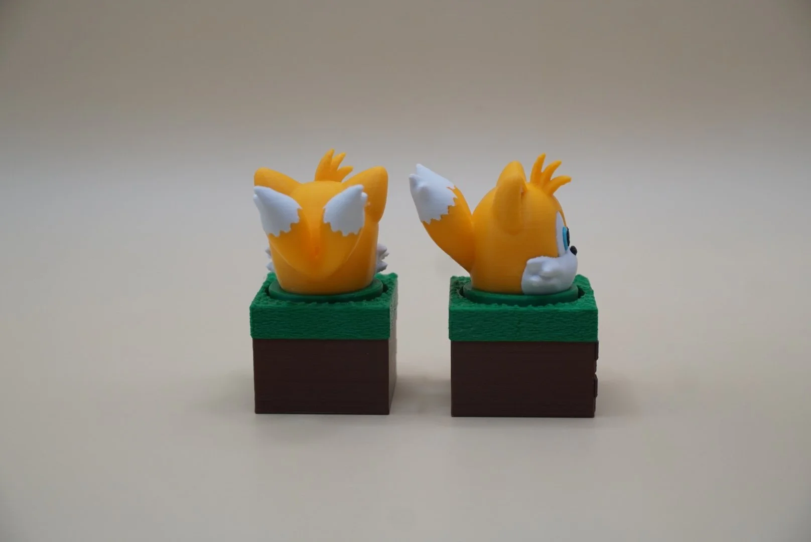 Tails 2.JPG