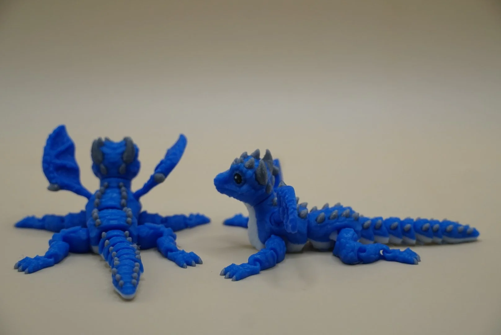 Dragon 2.JPG