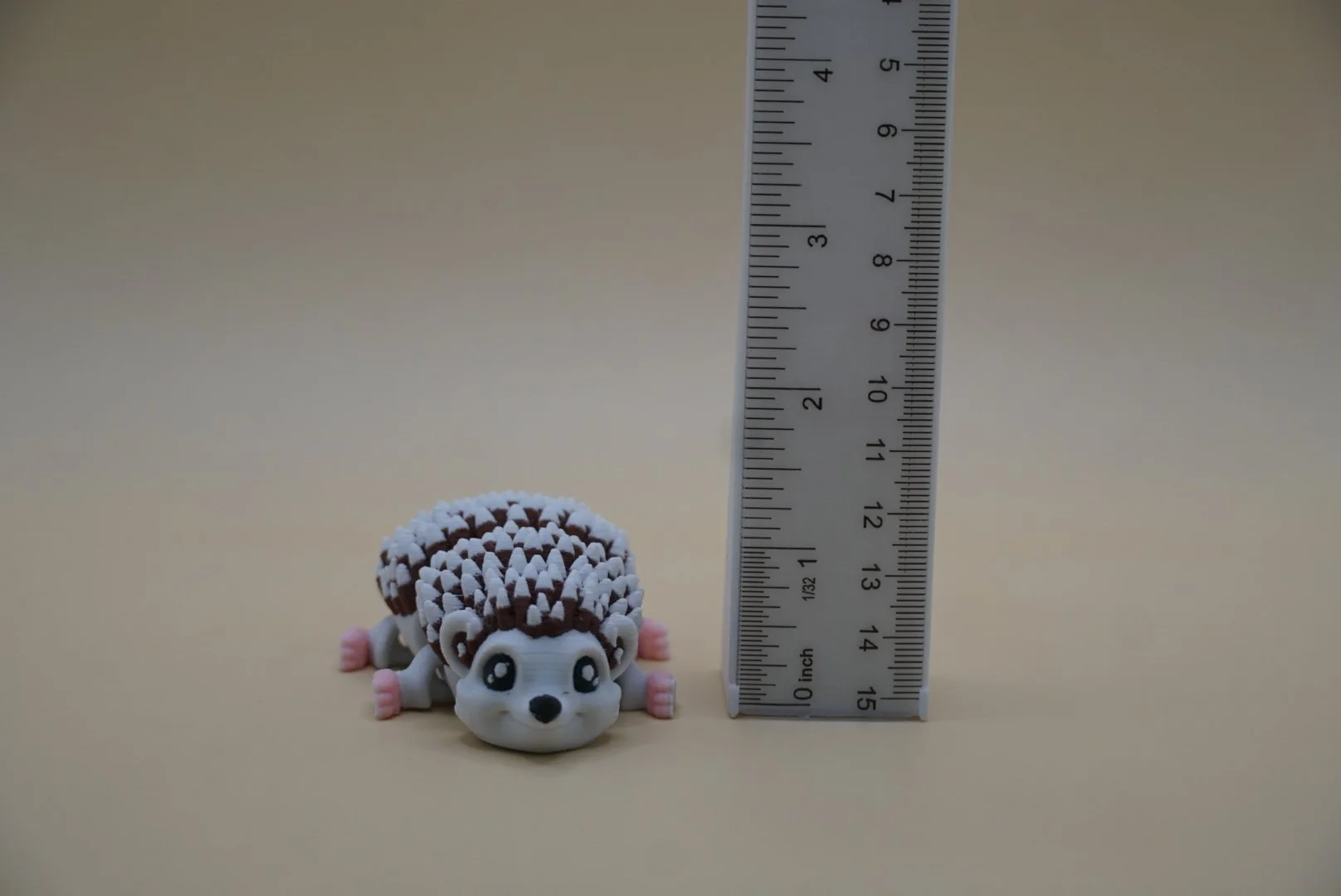 Hedgehog 2.JPG