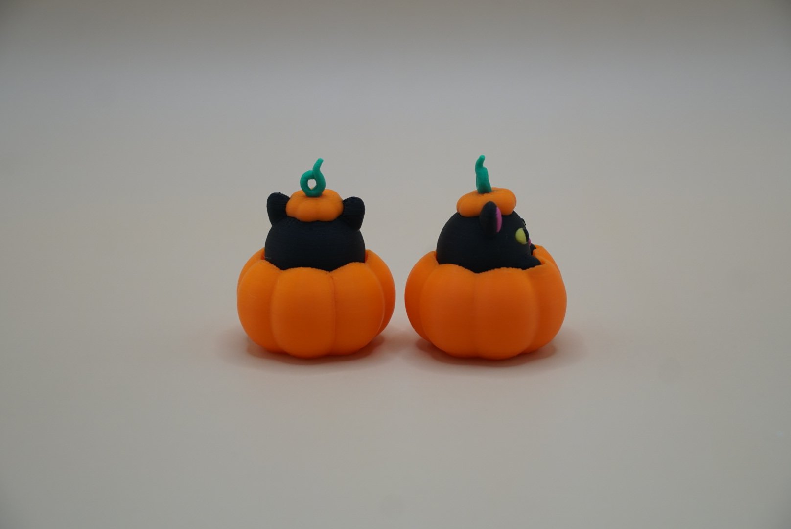 Pumpkin Cat 2.JPG