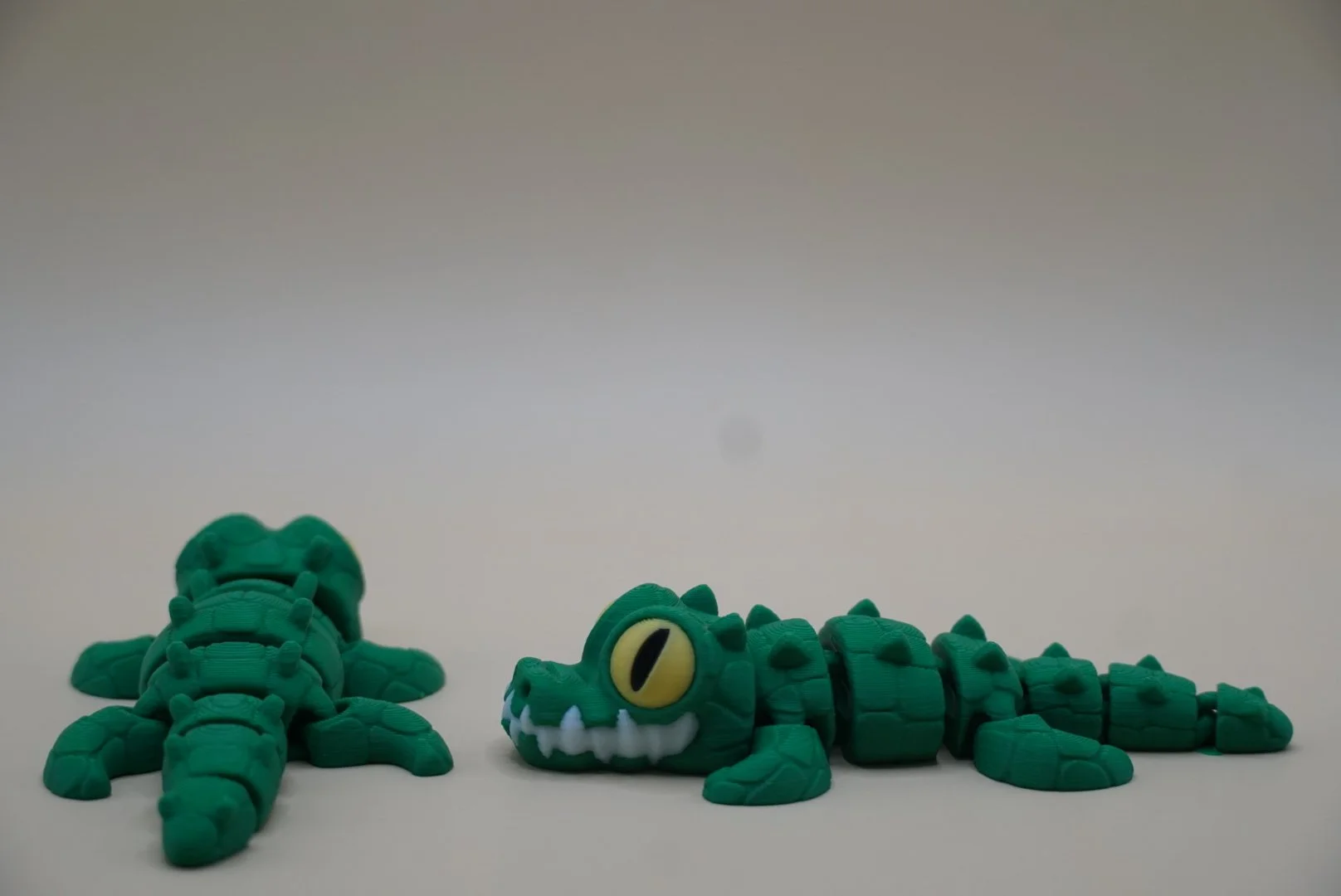 Crocodile 2.JPG