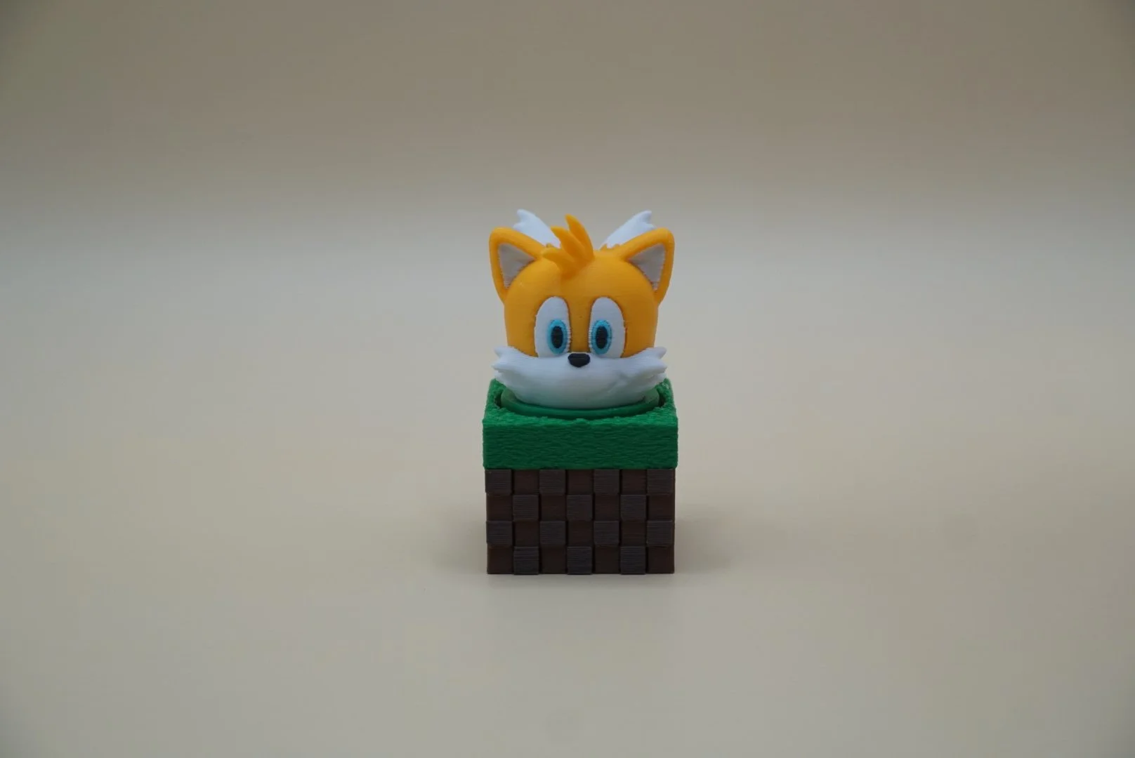 Tails 1.JPG