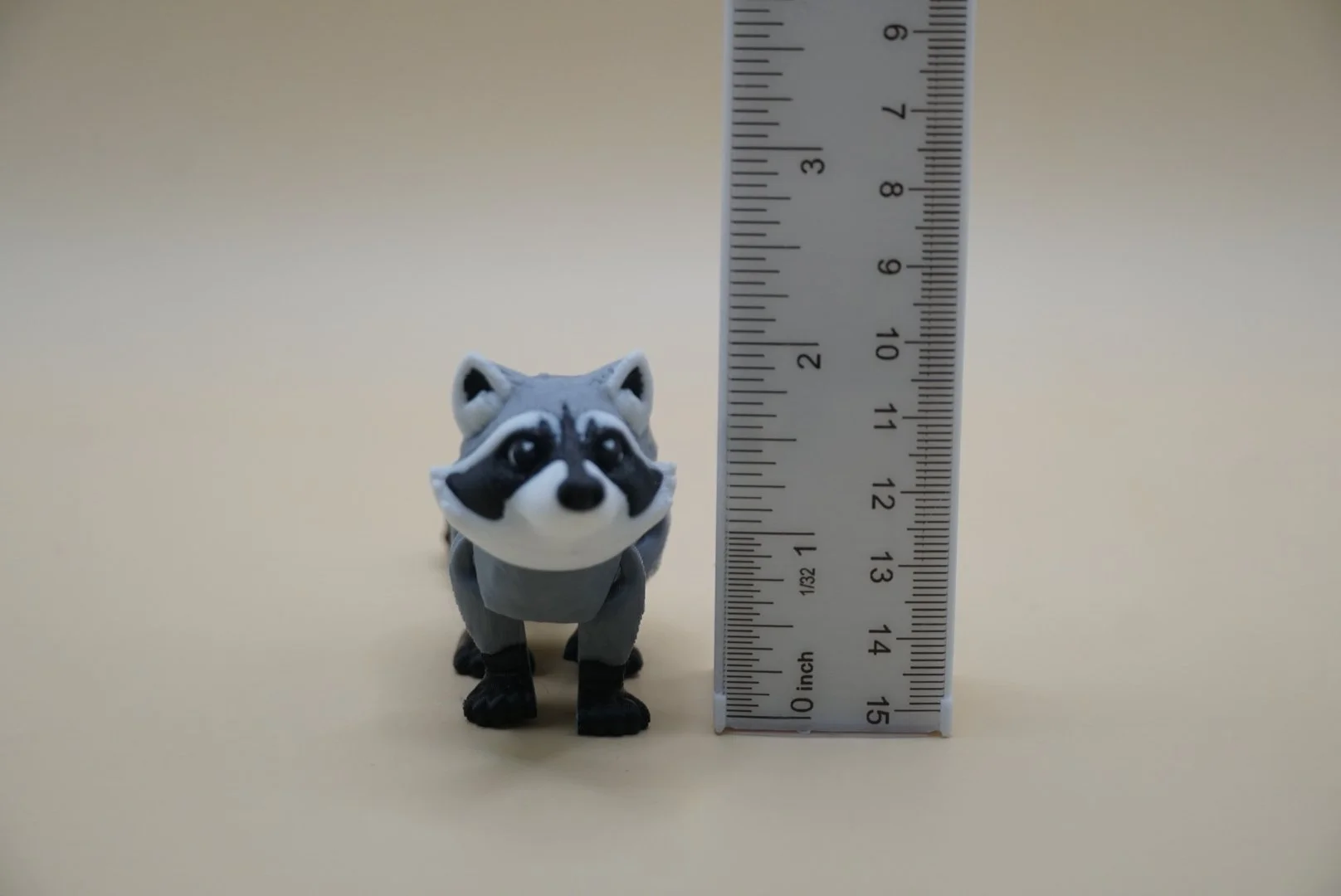 Racoon 3.JPG