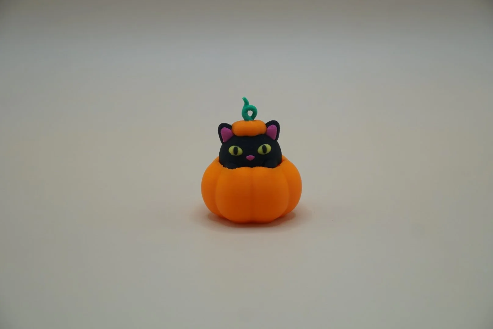 Pumpkin Cat 1.JPG