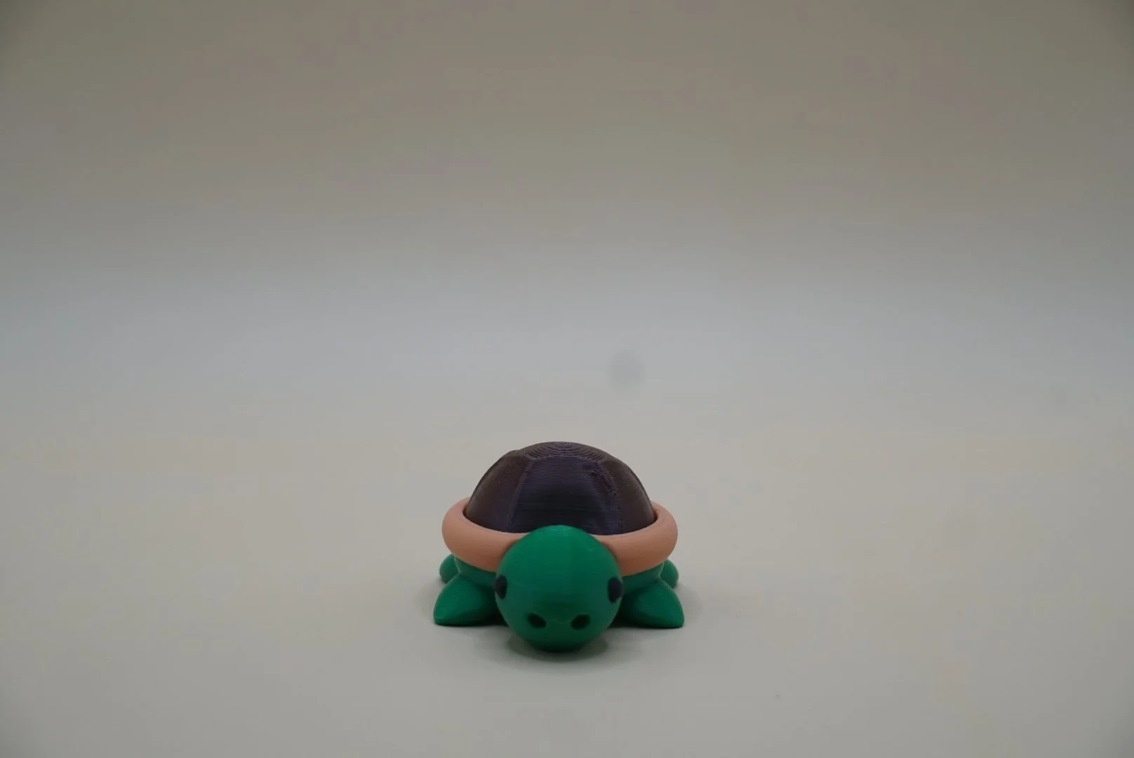 Turtle 1.JPG