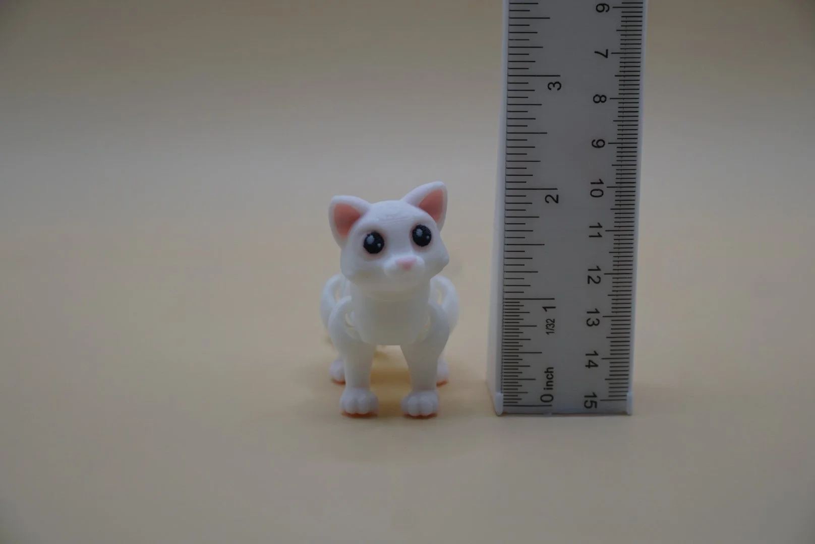 Cat 3.JPG
