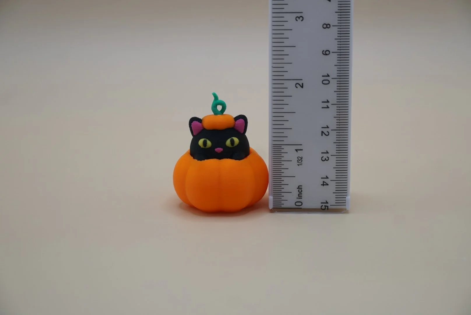Pumpkin Cat 3.JPG