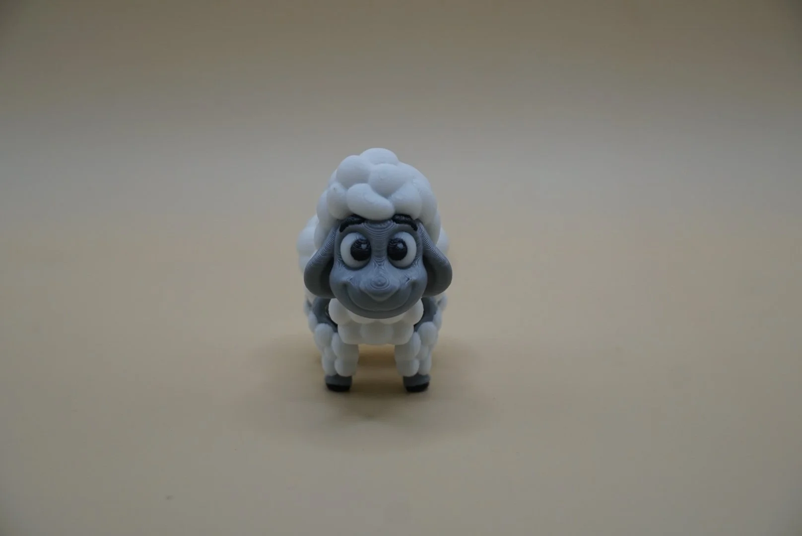 Sheep 1.JPG