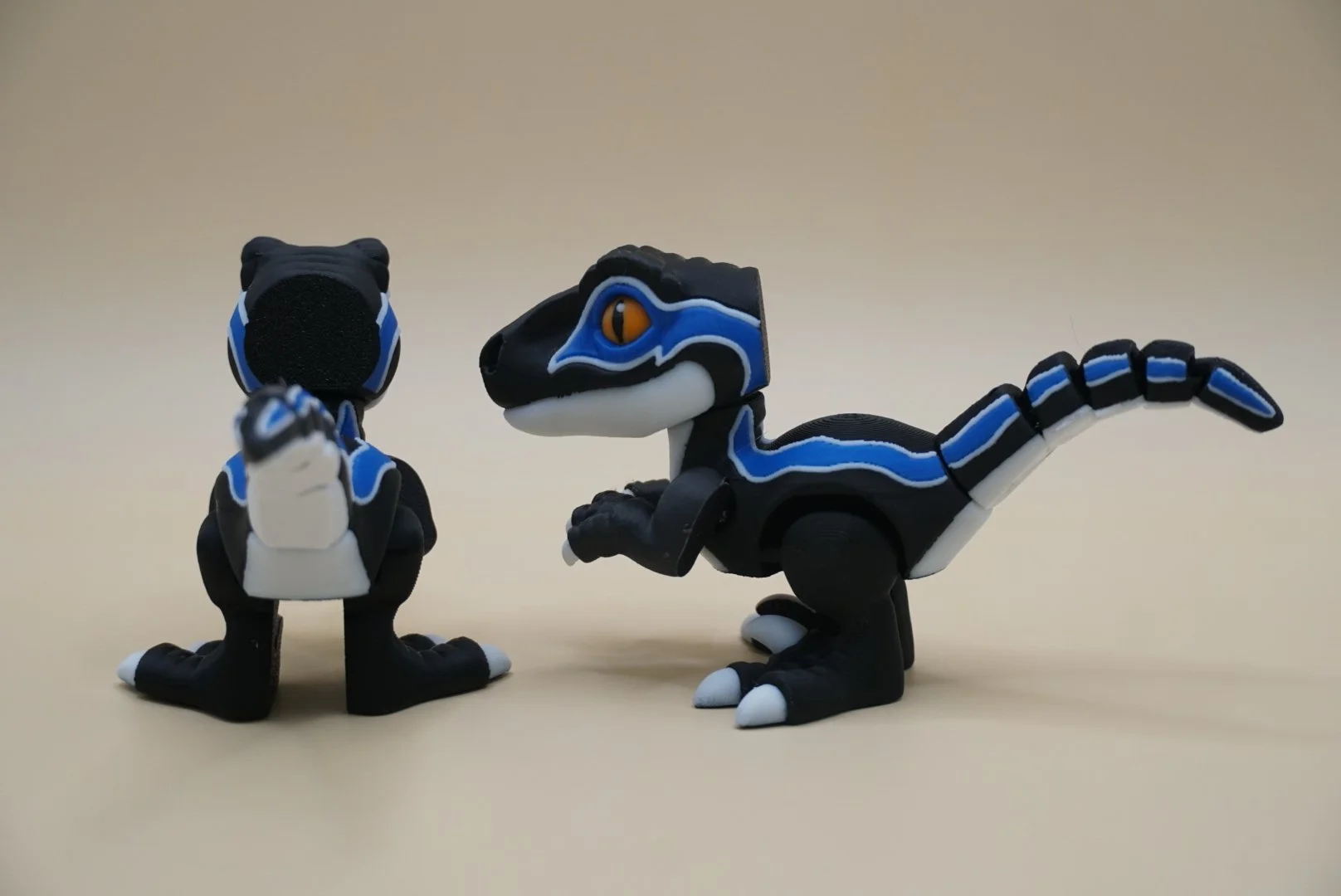 Raptor 2.JPG