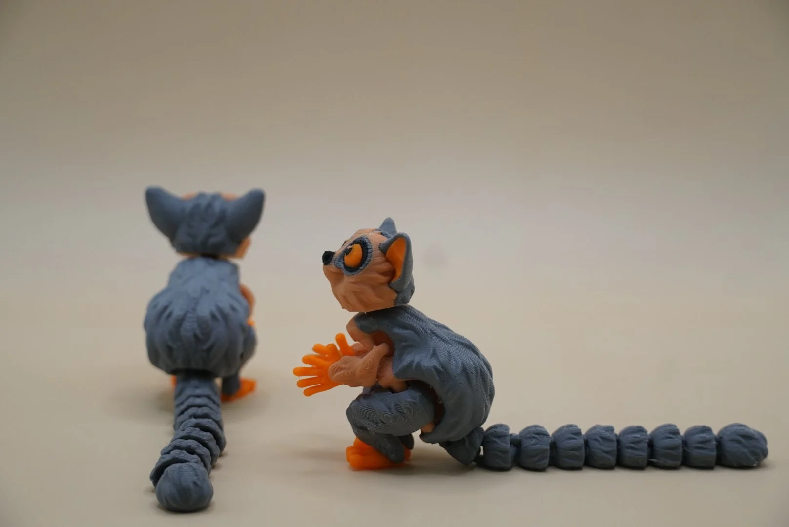 Bush Baby 2.JPG
