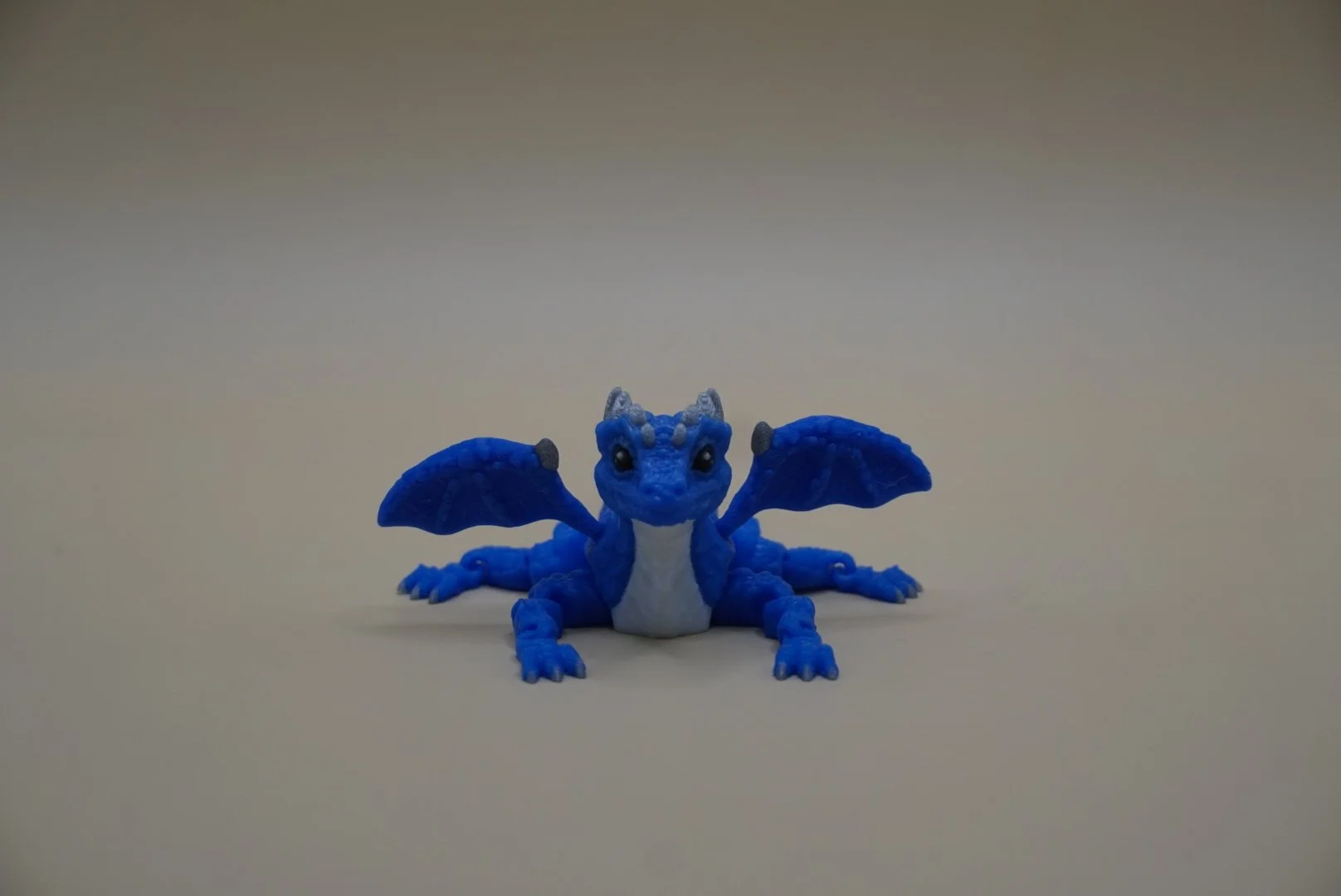 Dragon 1.JPG